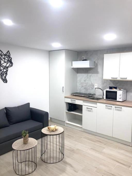 Casa El Papamoscas Apartment Burgos Bagian luar foto